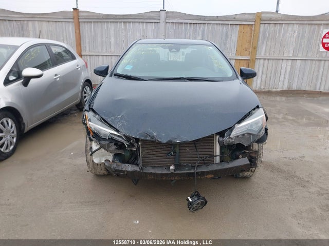 12558710 :رقم المزاد ، 2T1BURHE7KC142856 vin ، 2019 Toyota Corolla L/le/xle/se/xse مزاد بيع