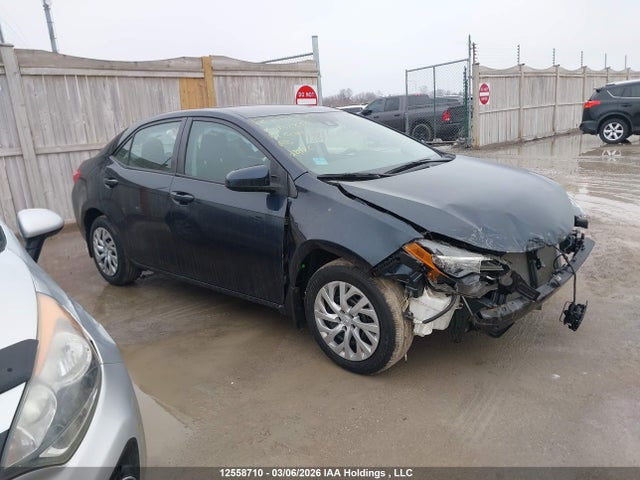 12558710 :رقم المزاد ، 2T1BURHE7KC142856 vin ، 2019 Toyota Corolla L/le/xle/se/xse مزاد بيع