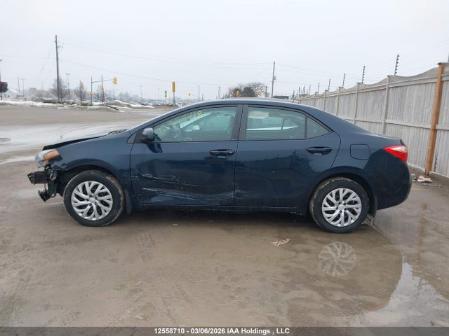 12558710 :رقم المزاد ، 2T1BURHE7KC142856 vin ، 2019 Toyota Corolla L/le/xle/se/xse مزاد بيع