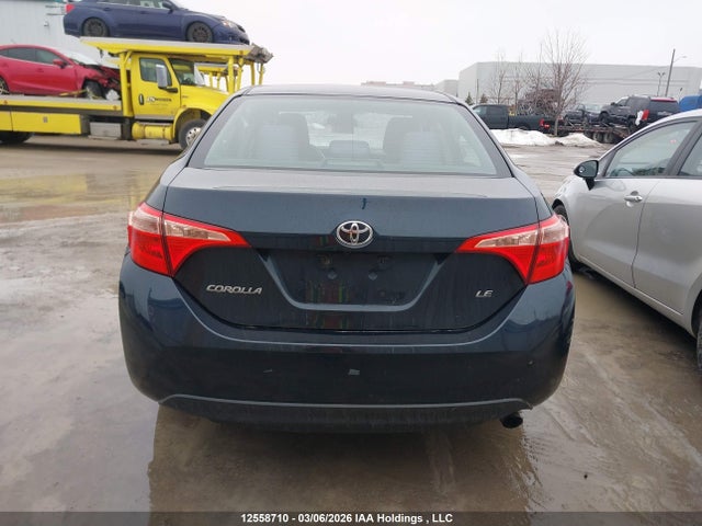 12558710 :رقم المزاد ، 2T1BURHE7KC142856 vin ، 2019 Toyota Corolla L/le/xle/se/xse مزاد بيع