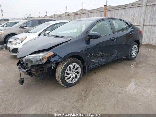 12558710 :رقم المزاد ، 2T1BURHE7KC142856 vin ، 2019 Toyota Corolla L/le/xle/se/xse مزاد بيع
