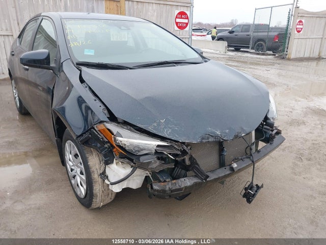 12558710 :رقم المزاد ، 2T1BURHE7KC142856 vin ، 2019 Toyota Corolla L/le/xle/se/xse مزاد بيع