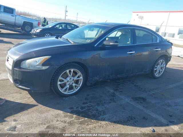 Продажа на аукционе авто 2013 Nissan Maxima Sv, vin: 1N4AA5AP3DC821727, номер лота: 12558726