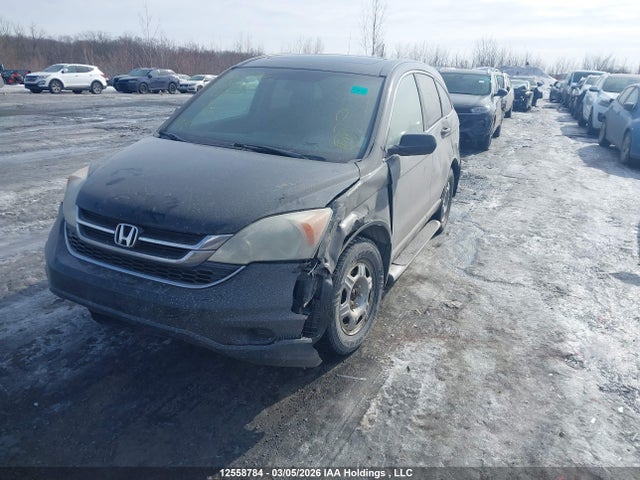 12558784 :رقم المزاد ، 5J6RE4H56BL822927 vin ، 2011 Honda Cr-v Ex مزاد بيع
