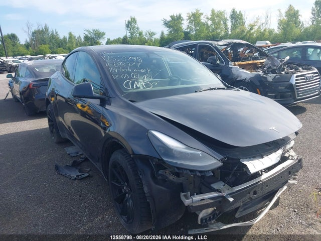 2024 Tesla Model Y Long Range/rwd მანქანა იყიდება აუქციონზე, vin: 7SAYGDED3RF078372, აუქციონის ნომერი: 12558798