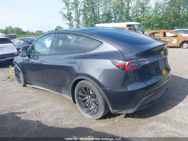 2024 Tesla Model Y Long Range/rwd მანქანა იყიდება აუქციონზე, vin: 7SAYGDED3RF078372, აუქციონის ნომერი: 12558798