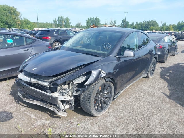 2024 Tesla Model Y Long Range/rwd მანქანა იყიდება აუქციონზე, vin: 7SAYGDED3RF078372, აუქციონის ნომერი: 12558798