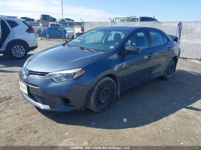12558808 :رقم المزاد ، 2T1BURHE4GC553218 vin ، 2016 Toyota Corolla L/le/le Pls/prm/s/s Pls مزاد بيع