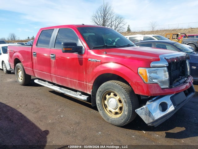 2012 Ford F-150 მანქანა იყიდება აუქციონზე, vin: 1FTFW1CF5CFC83656, აუქციონის ნომერი: 12558814