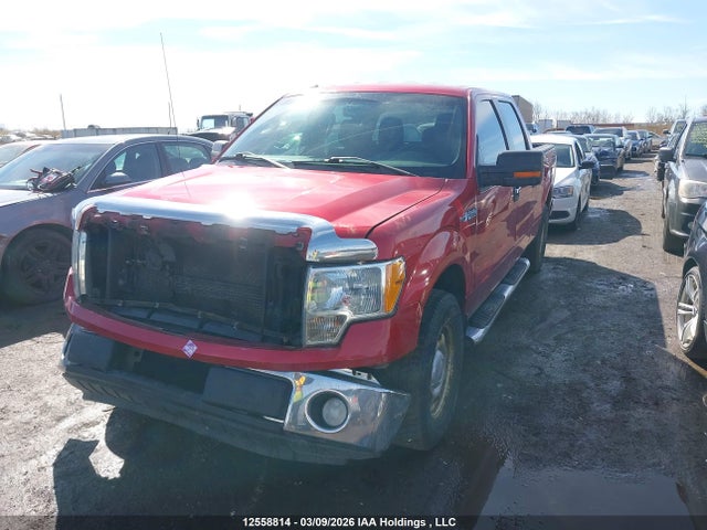 2012 Ford F-150 მანქანა იყიდება აუქციონზე, vin: 1FTFW1CF5CFC83656, აუქციონის ნომერი: 12558814