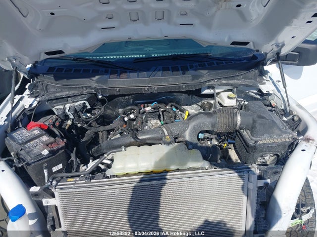 Продаж на аукціоні авто 2025 Ford F150 Xlt, vin: 1FTEW3LP4SKE41717, номер лоту: 12558882
