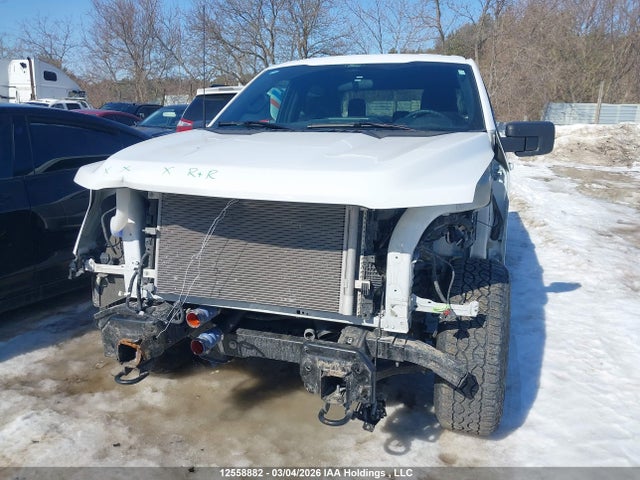 Продаж на аукціоні авто 2025 Ford F150 Xlt, vin: 1FTEW3LP4SKE41717, номер лоту: 12558882