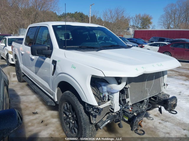 Продаж на аукціоні авто 2025 Ford F150 Xlt, vin: 1FTEW3LP4SKE41717, номер лоту: 12558882