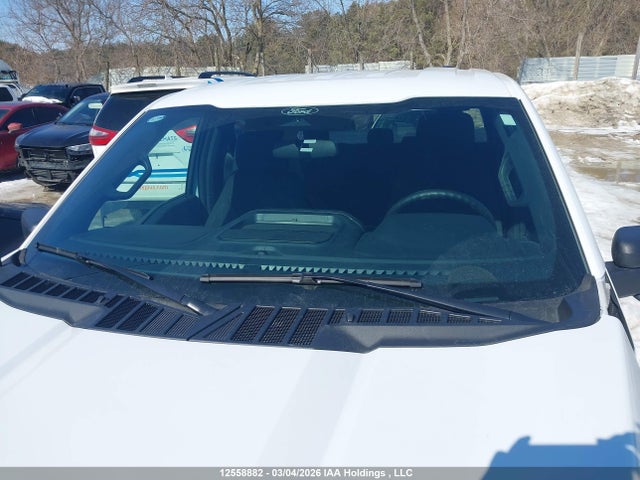 Продаж на аукціоні авто 2025 Ford F150 Xlt, vin: 1FTEW3LP4SKE41717, номер лоту: 12558882
