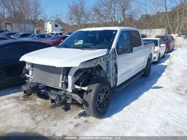 Продаж на аукціоні авто 2025 Ford F150 Xlt, vin: 1FTEW3LP4SKE41717, номер лоту: 12558882