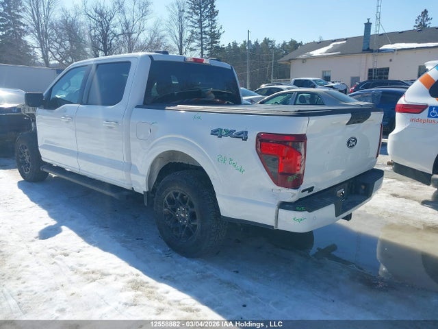 Продаж на аукціоні авто 2025 Ford F150 Xlt, vin: 1FTEW3LP4SKE41717, номер лоту: 12558882
