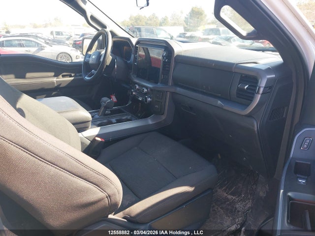 Продаж на аукціоні авто 2025 Ford F150 Xlt, vin: 1FTEW3LP4SKE41717, номер лоту: 12558882