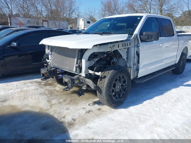 Продаж на аукціоні авто 2025 Ford F150 Xlt, vin: 1FTEW3LP4SKE41717, номер лоту: 12558882