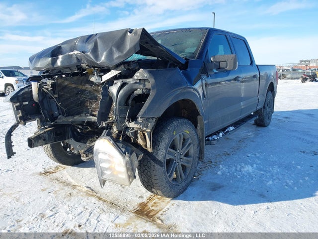 2021 Ford F-150 Xlt მანქანა იყიდება აუქციონზე, vin: 1FTFW1E52MFA82500, აუქციონის ნომერი: 12558895