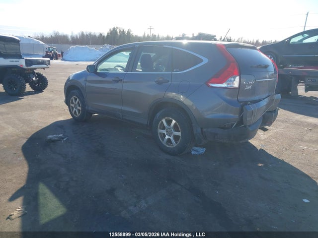 12558899 :رقم المزاد ، 2HKRM4H36CH110981 vin ، 2012 Honda Cr-v Lx مزاد بيع