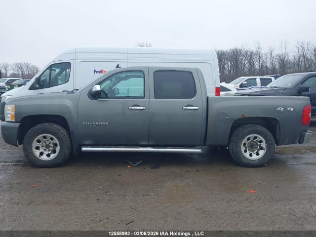 2011 Chevrolet Silverado K1500 Ls მანქანა იყიდება აუქციონზე, vin: 3GCPKREA2BG207552, აუქციონის ნომერი: 12558993