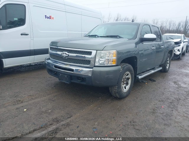 2011 Chevrolet Silverado K1500 Ls მანქანა იყიდება აუქციონზე, vin: 3GCPKREA2BG207552, აუქციონის ნომერი: 12558993
