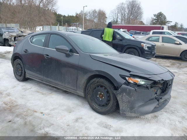 JM1BPBLMXL1157502 Mazda 3