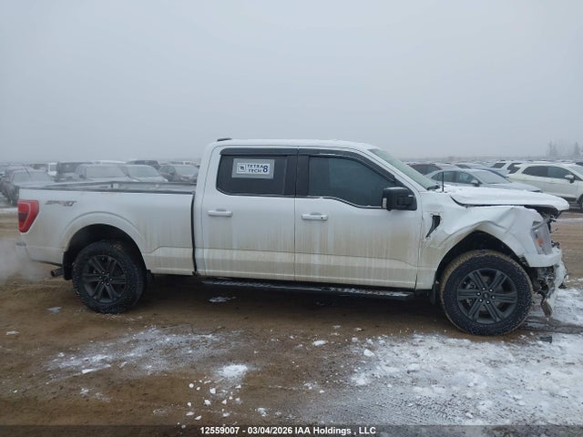 Ford F150 Supercrew 2023 1FTFW1E82PKF07283 Image 13