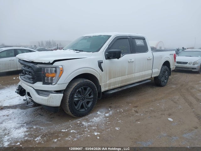 Ford F150 Supercrew 2023 1FTFW1E82PKF07283 Image 2