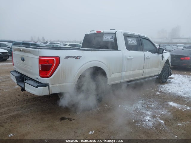 Ford F150 Supercrew 2023 1FTFW1E82PKF07283 Image 4