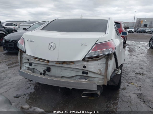 Aukcja sprzedaży 2010 Acura Tl, vin: 19UUA8F28AA800404, numer aukcji: 12559009
