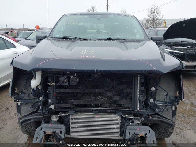 Продажа на аукционе авто 2021 Ford F150 Supercrew, vin: 1FTEW1EP6MKE00025, номер лота: 12559027
