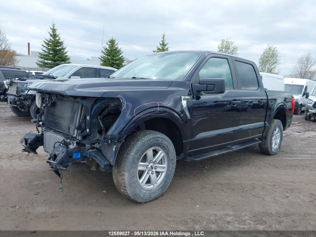 Продажа на аукционе авто 2021 Ford F150 Supercrew, vin: 1FTEW1EP6MKE00025, номер лота: 12559027