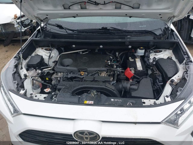 2019 Toyota Rav4 Xle/xle Premium მანქანა იყიდება აუქციონზე, vin: 2T3W1RFVXKW039868, აუქციონის ნომერი: 12559047