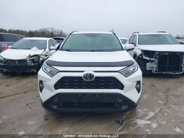 2019 Toyota Rav4 Xle/xle Premium მანქანა იყიდება აუქციონზე, vin: 2T3W1RFVXKW039868, აუქციონის ნომერი: 12559047