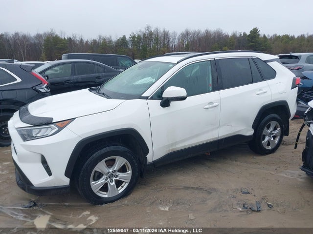 2019 Toyota Rav4 Xle/xle Premium მანქანა იყიდება აუქციონზე, vin: 2T3W1RFVXKW039868, აუქციონის ნომერი: 12559047