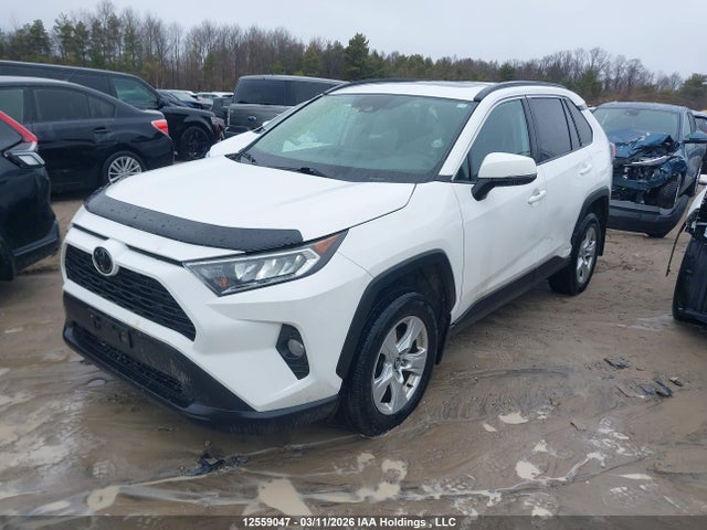 2019 Toyota Rav4 Xle/xle Premium მანქანა იყიდება აუქციონზე, vin: 2T3W1RFVXKW039868, აუქციონის ნომერი: 12559047