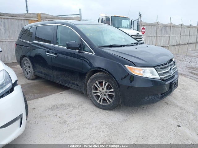 12559048 :رقم المزاد ، 5FNRL5H4XDB505361 vin ، 2013 Honda Odyssey مزاد بيع