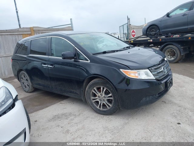 12559048 :رقم المزاد ، 5FNRL5H4XDB505361 vin ، 2013 Honda Odyssey مزاد بيع