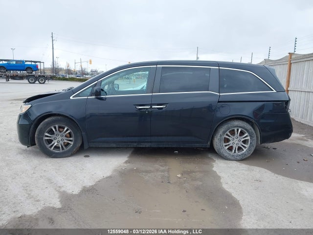 12559048 :رقم المزاد ، 5FNRL5H4XDB505361 vin ، 2013 Honda Odyssey مزاد بيع