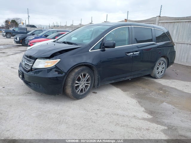 12559048 :رقم المزاد ، 5FNRL5H4XDB505361 vin ، 2013 Honda Odyssey مزاد بيع