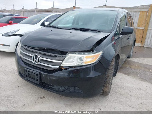 12559048 :رقم المزاد ، 5FNRL5H4XDB505361 vin ، 2013 Honda Odyssey مزاد بيع
