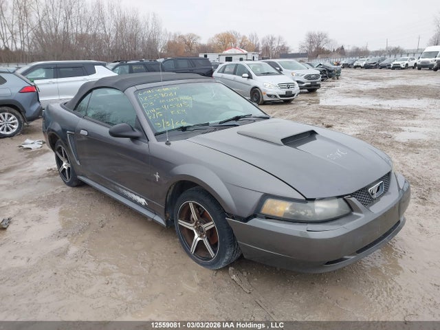 2003 Ford Mustang მანქანა იყიდება აუქციონზე, vin: 1FAFP44433F415315, აუქციონის ნომერი: 12559081