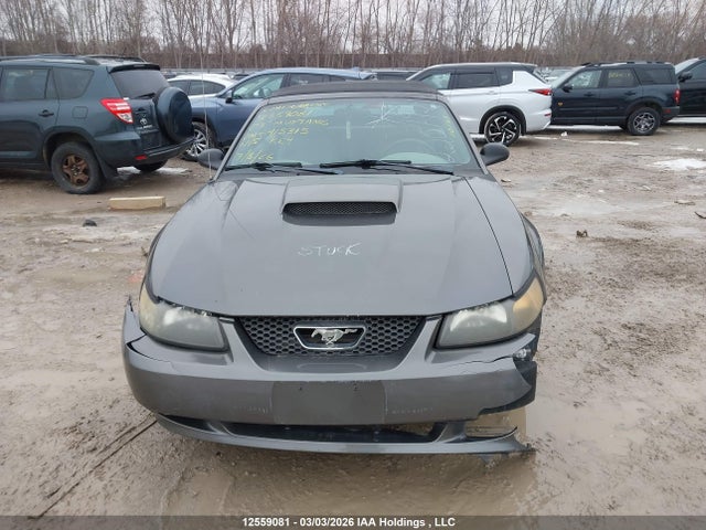 Продажа на аукционе авто 2003 Ford Mustang, vin: 1FAFP44433F415315, номер лота: 12559081
