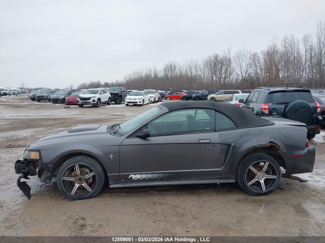 Продажа на аукционе авто 2003 Ford Mustang, vin: 1FAFP44433F415315, номер лота: 12559081
