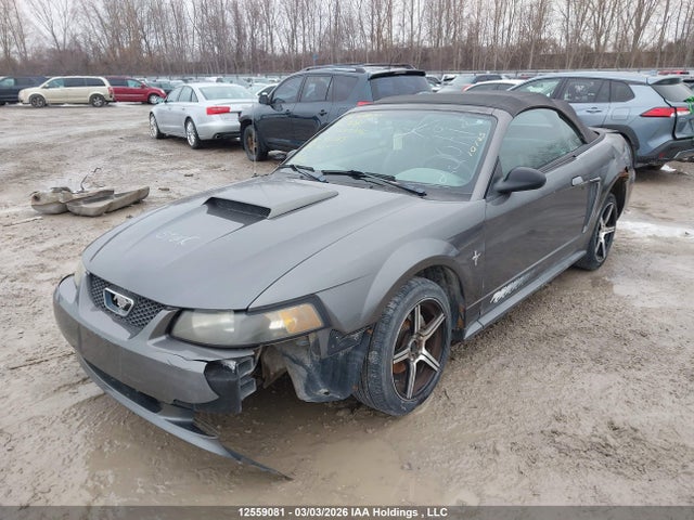 Продажа на аукционе авто 2003 Ford Mustang, vin: 1FAFP44433F415315, номер лота: 12559081
