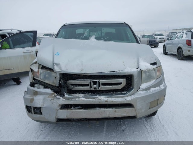 Продаж на аукціоні авто 2010 Honda Ridgeline Rtl, vin: 5FPYK1F53AB501707, номер лоту: 12559101