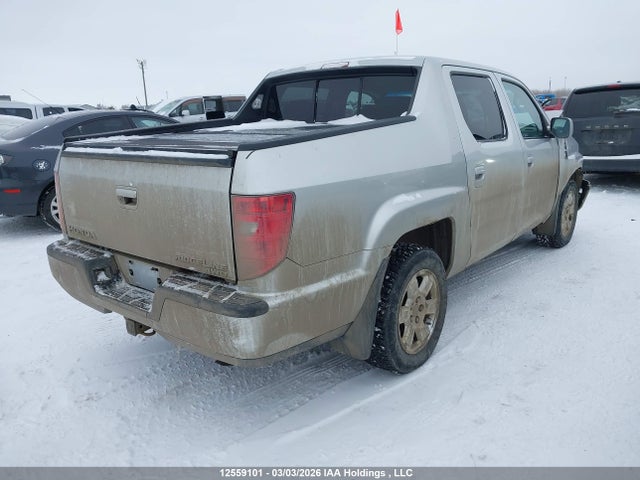 Продаж на аукціоні авто 2010 Honda Ridgeline Rtl, vin: 5FPYK1F53AB501707, номер лоту: 12559101