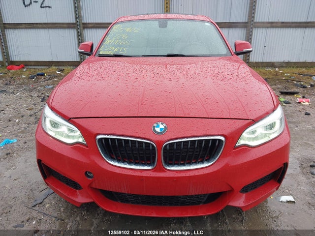 WBA1G9C52GVX97065 BMW 228i Xdrive