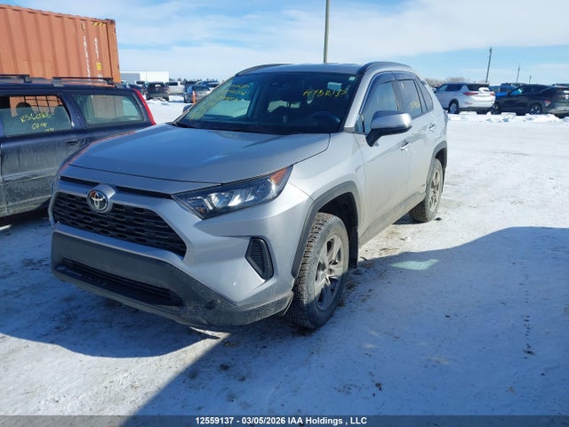 12559137 :رقم المزاد ، 2T3BWRFV5SW280804 vin ، 2025 Toyota Rav4 Le مزاد بيع